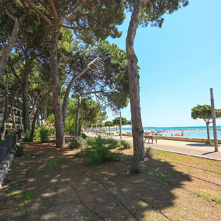 Miramar Bjs - Only Families * Cambrils